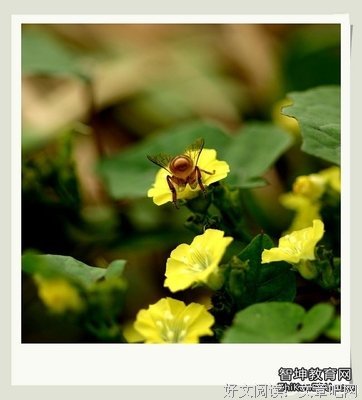 《飘》小说句子大全