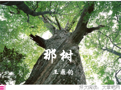 描写荒芜的经典句子
