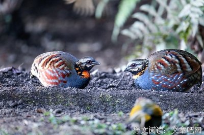 关于许明的名句摘抄