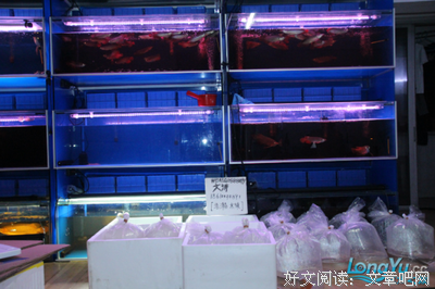 15条关于王龙的经典语句