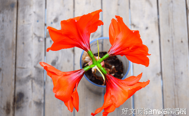 有关寻前的句子