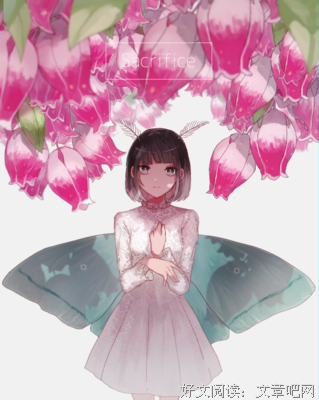 动漫的优美句子