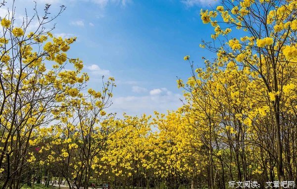 花与风铃。句子