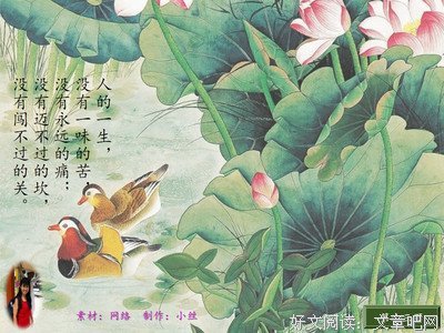 唯一的你经典名句