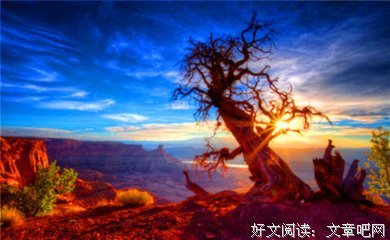 空i经典名句