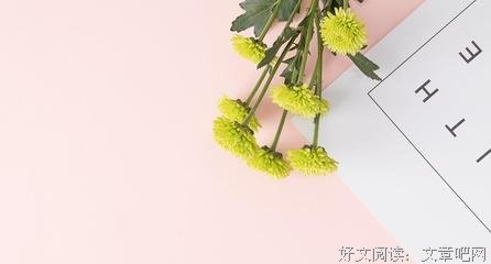 南的句子