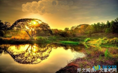 午小那叫阳光经典的句子
