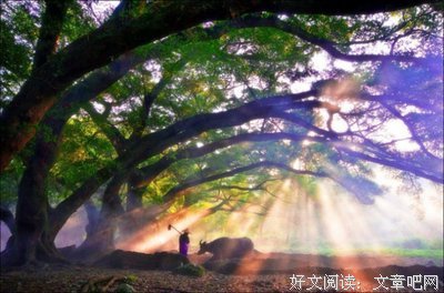鱼小溪名言大全