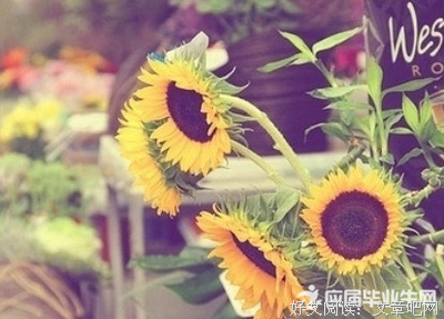 西塞罗名言