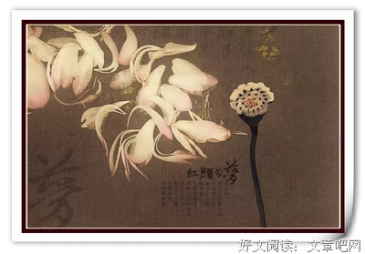 《内心》经典句子