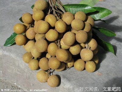 最新的《故乡》小说书摘大全