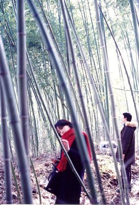 最新的《春逝》佳句摘抄大全