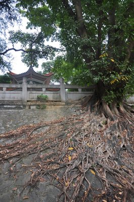 《生活》经典名句大全