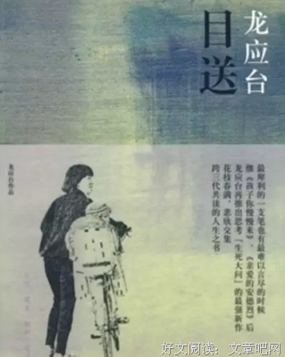 最经典的《目送》好段摘抄