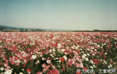 最全的《眼睛》经典语句大全