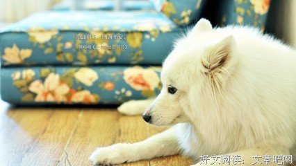 可爱的名言_关于可爱的名言