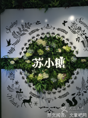 关于苏小的语句