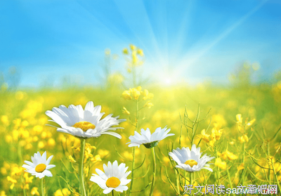花开的句子