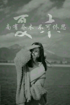 乔木句子大全