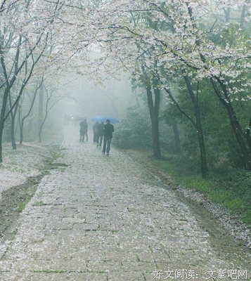 一夕烟雨的名言