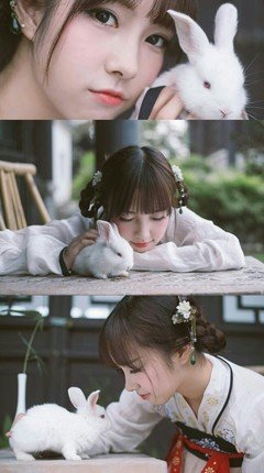 关于东奔西顾的名言