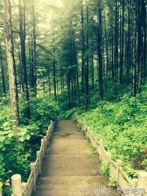 最经典的乘物游心名言警句