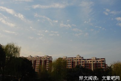 最经典的凌乱柠殇经典句子