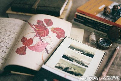 《莲花》经典语句