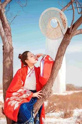 最经典的《赘婿》经典句子