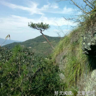 宁可孤独，也不违心！