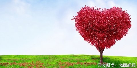 或许，不配，但是，值得