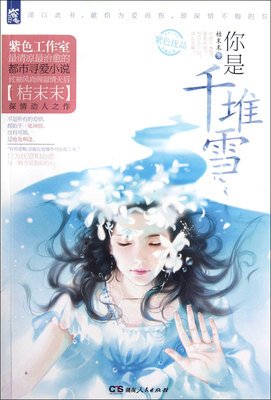 最全的《千堆雪》小说摘抄