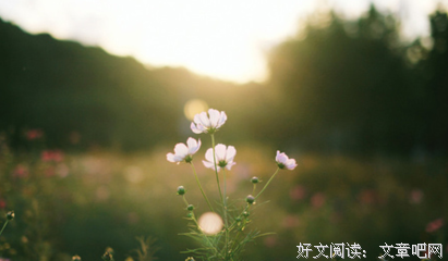 《在人间》小说摘抄