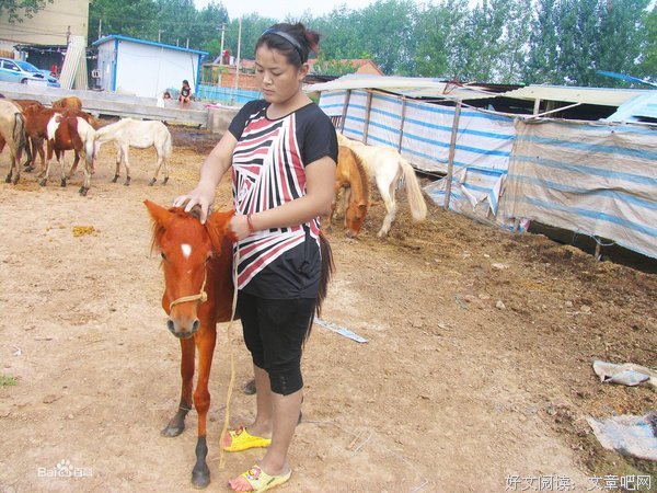 《奥兰多》经典名句