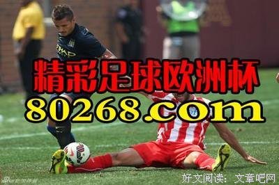 最新的《孤城闭》好段摘抄大全