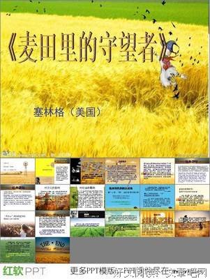 最新的《守望者》经典语录