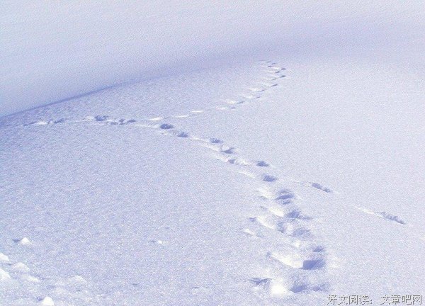最全的《少年游》经典句子大全