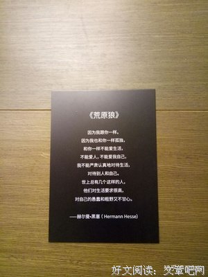 我自己喜欢的句子大全