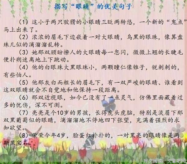 收藏的优美句子