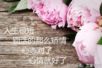 《随缘》的句子