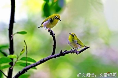 心有灵犀一点通句子