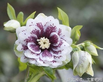 情绪你我的优美句子