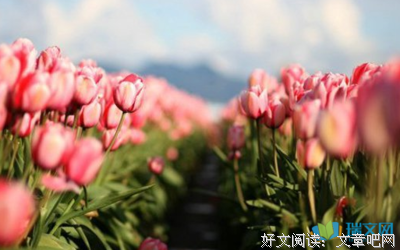 心出来我们风不哭了经典的句子