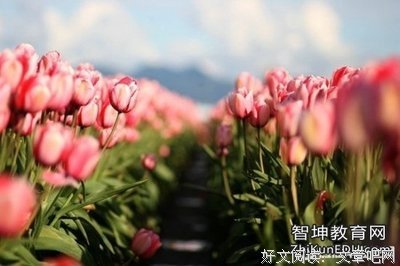 莫经典的句子