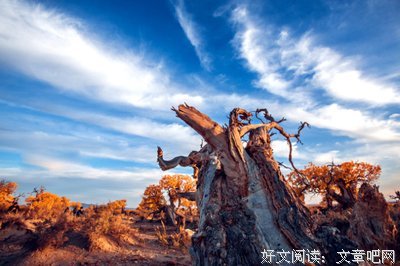 贰经典名句