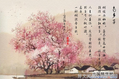 关于凄美的句子