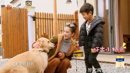 有关安迪的畅想的名言名句