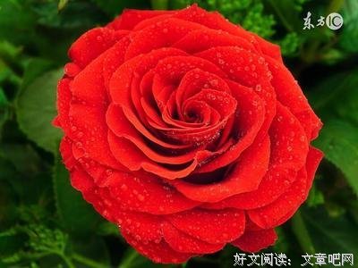 最全的《战国策》经典语句