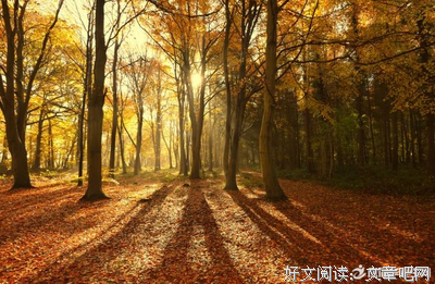 最经典的《西江月》小说句子