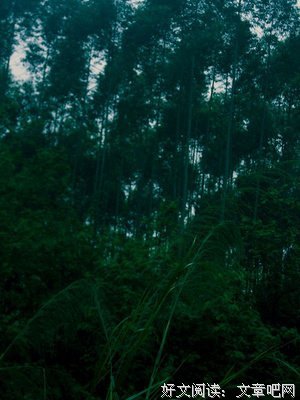 给我一坛醉生梦死的酒